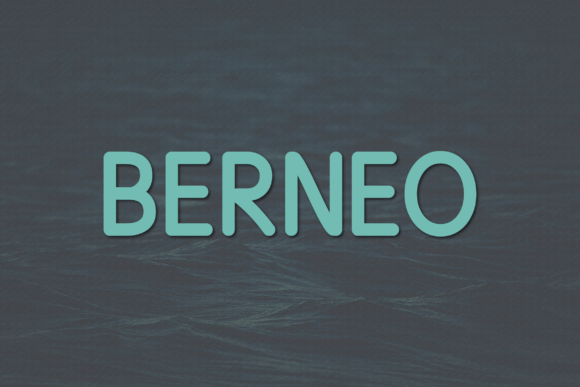 Berneo Font Review: A Modern Sans Serif for Editorial Design