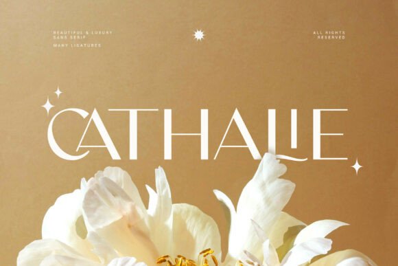 Cathalie Font: Elevating Digital Marketing Visuals